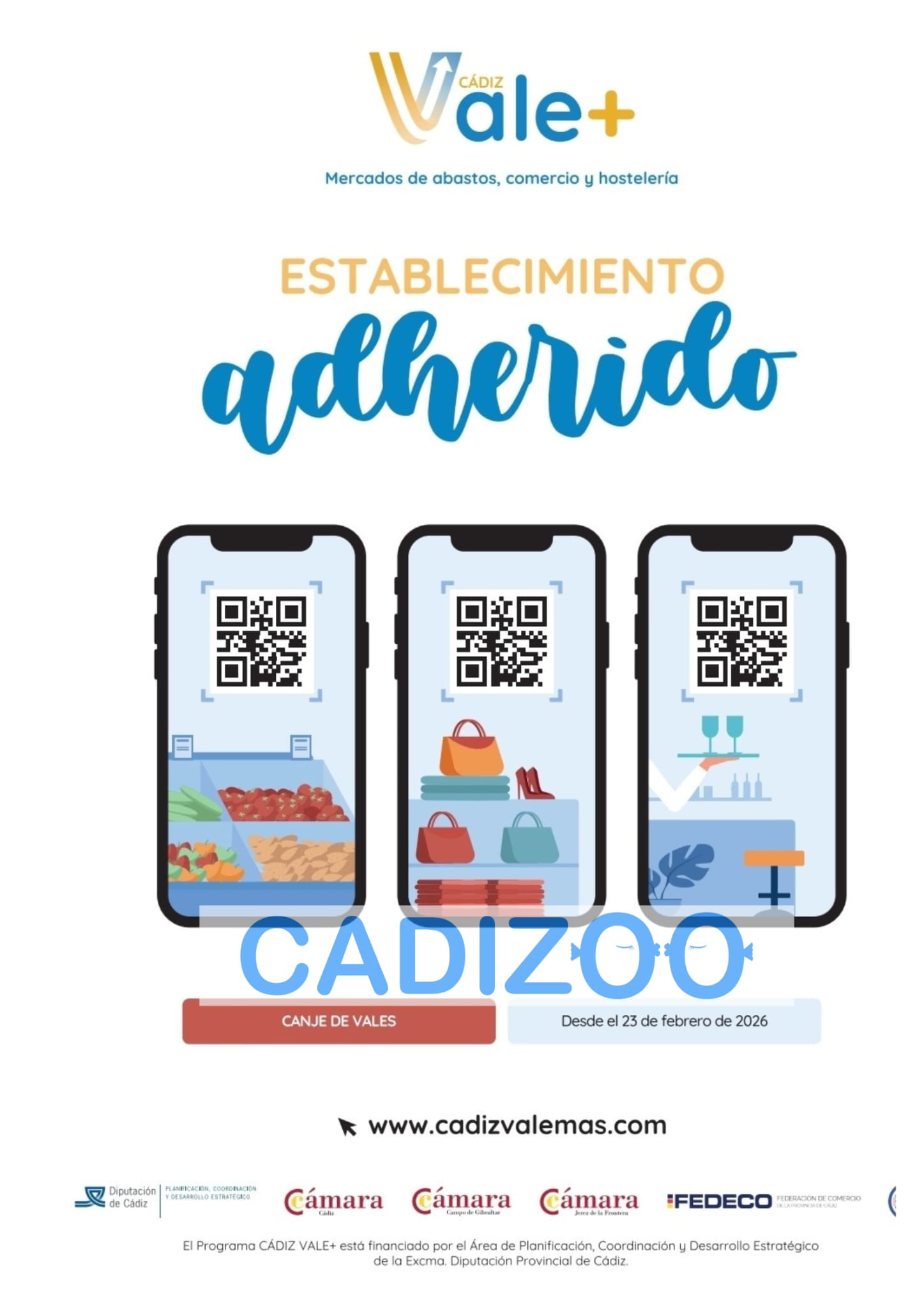 WhatsApp Image 2026 02 11 at 1.37.51 PM