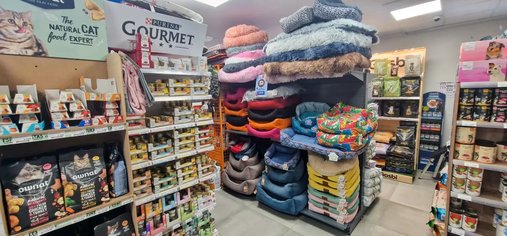 WhatsApp Image 2026 02 11 at 1.40.31 PM 2