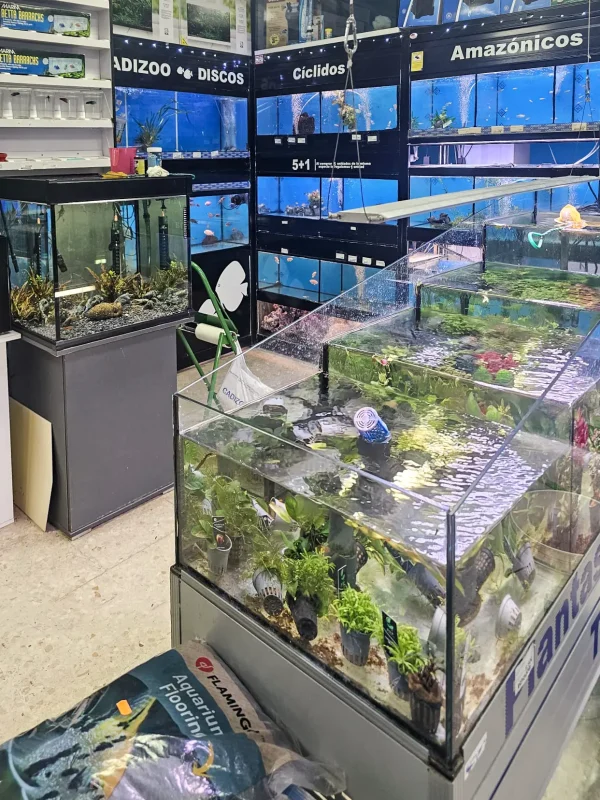 WhatsApp Image 2026-02-11 at 1.40.26 PM