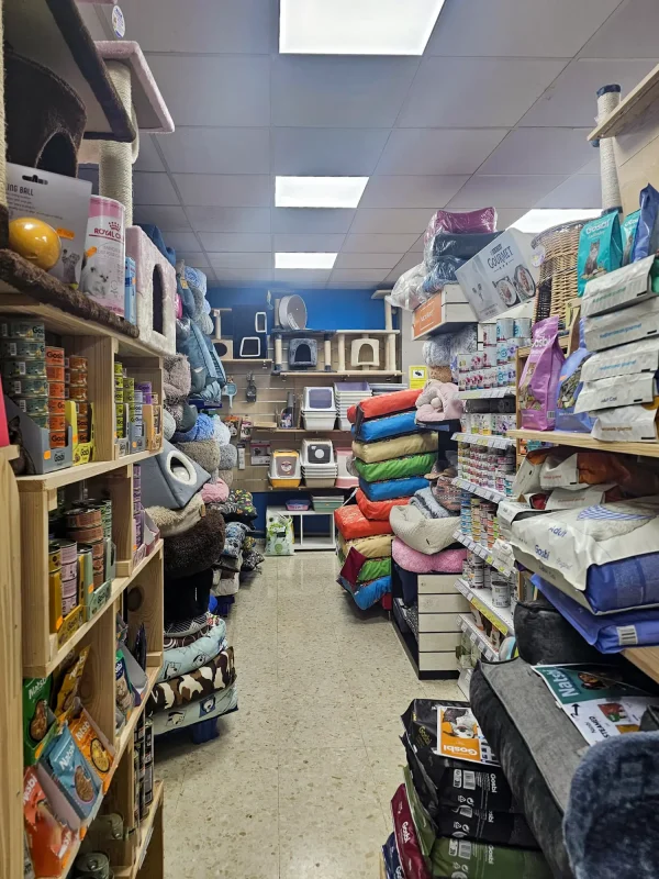 WhatsApp Image 2026-02-11 at 1.40.29 PM